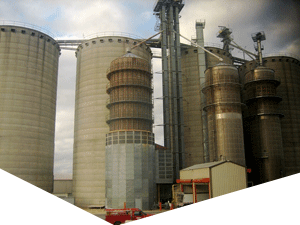 QQ卡密批发的免费短信电话轰炸机